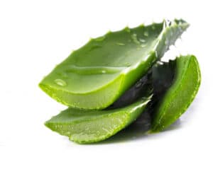 Aloe Vera For Hair